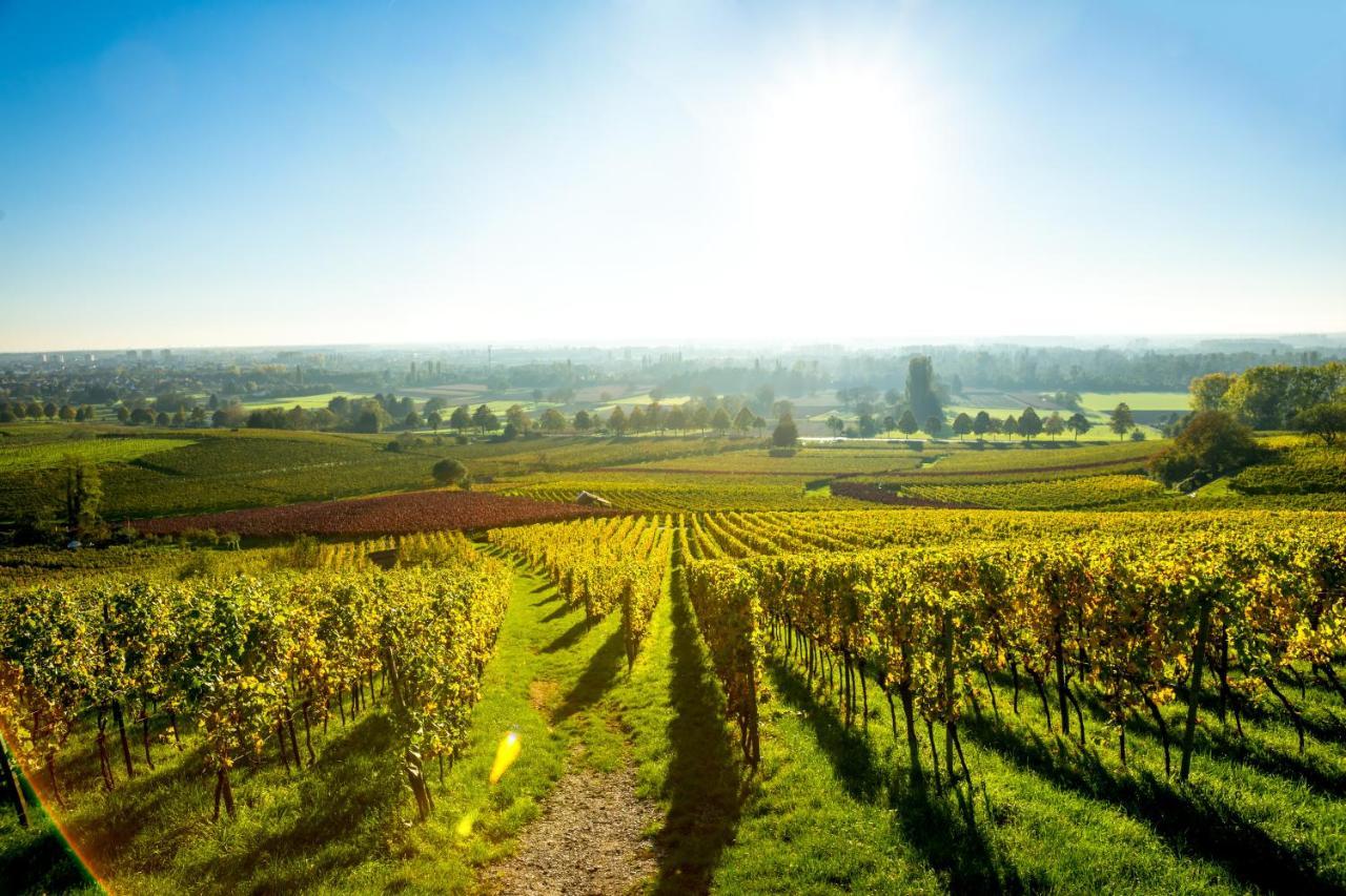 Clos Ceres Vire  Luaran gambar